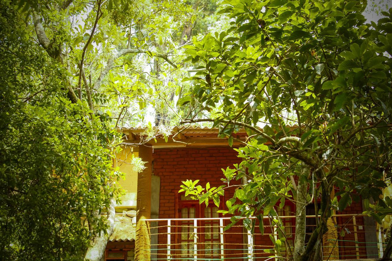 Ella Green Cottages Exterior photo